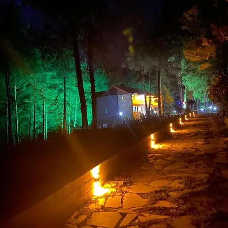 Goekbuek Serenity Gokbuk