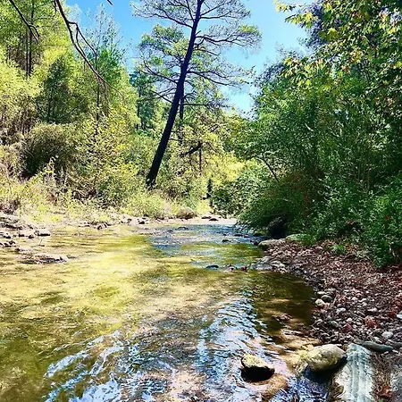 Goekbuek Serenity Gokbuk